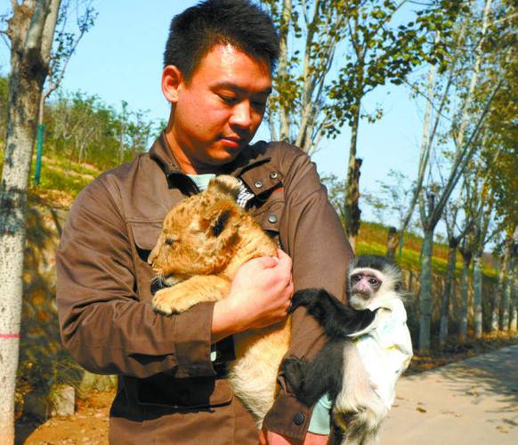 刘华强的瓮村现在在哪石家庄商场疑现狮子事件在石家庄有哪些好吃的东西 polo(119054)