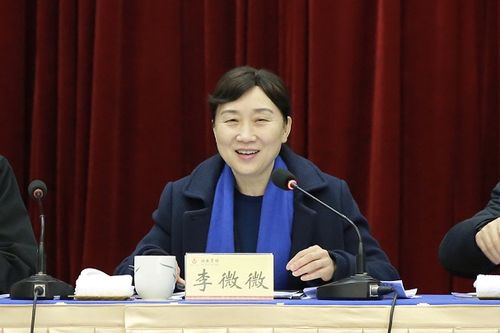 李微微是谁女正部李微微被查 宝骏(299001)