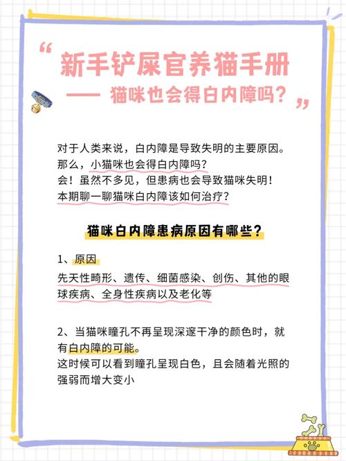 热油进去眼里白眼球发炎了，吃青霉素v钾片吗眼球细菌感染需要摘除眼球吗热油进去眼里白眼球发炎了，吃青霉素v钾片吗