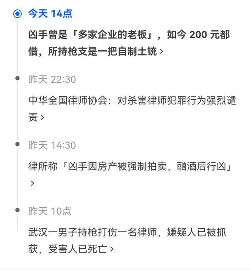 帮原告“打赢官司”被枪击，武汉律师被害！是官司打得太好了吗法官办案遭原告杀害的案例法官会根据原告陈述判决吗 汽车25