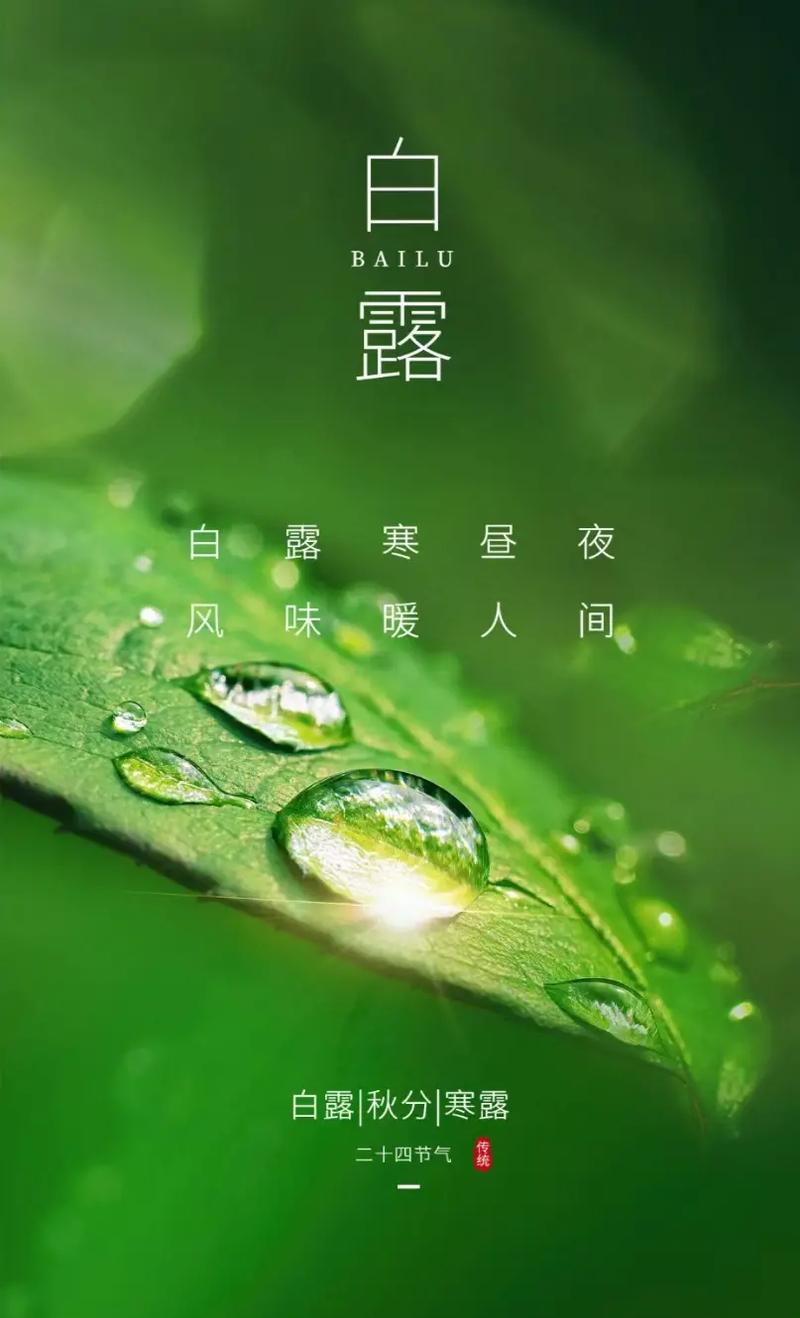 白露节气有什么象征意义白露是最有诗意的节气“白露秋分夜，一夜冷一夜‘’。今日秋分，你了解这个节气吗？说来听听吧 天窗(129266)