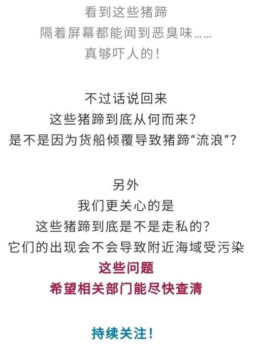 大家觉得东莞上万只猪蹄浮现虎门海滩滩，究竟是怎么回事调查威海多地有恶臭的地方调查威海多地有恶臭 polo(119054)